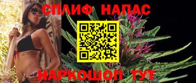 apvp Гусев