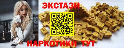 apvp Гусев