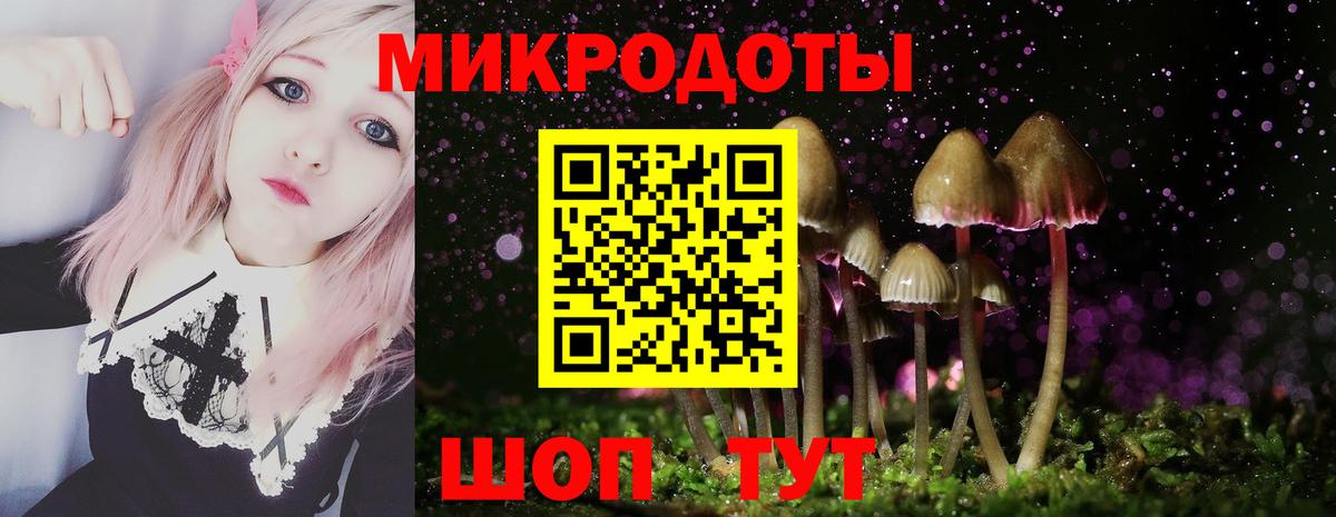 Мурманск  Псилоцибиновые грибы ЛСД  продажа наркотиков  Псилоцибиновые грибы Cubensis  Вход с VPN 