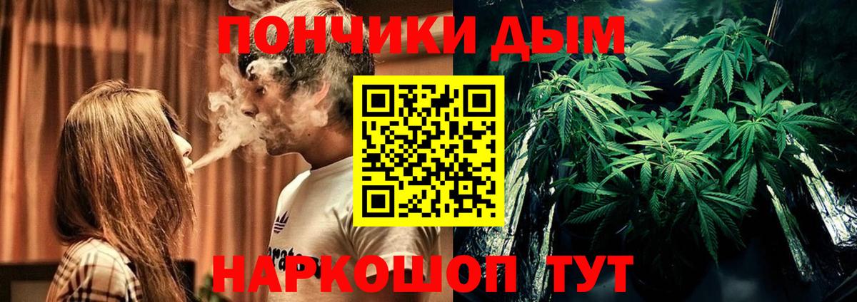 Марихуана планчик  Конопля семена  Бошки марихуана SATIVA & INDICA  Мурманск  Вход с VPN 